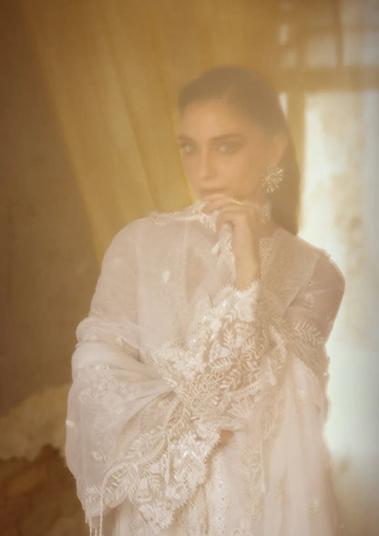 Qalamkar Emb Chiffons'25 WC-03 ROISE