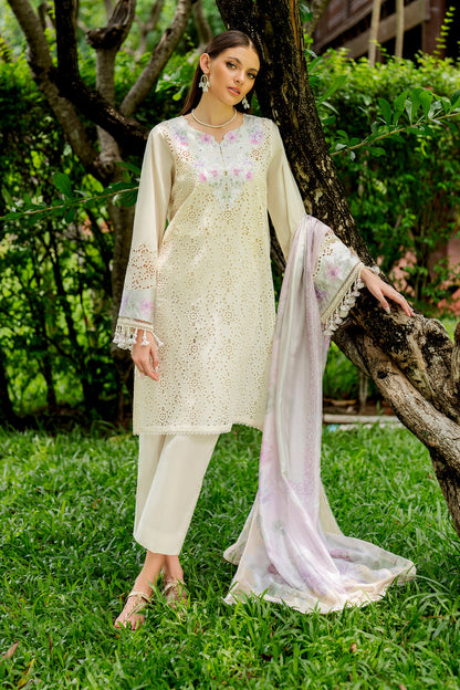 EMBROIDERED SCHIFFLI